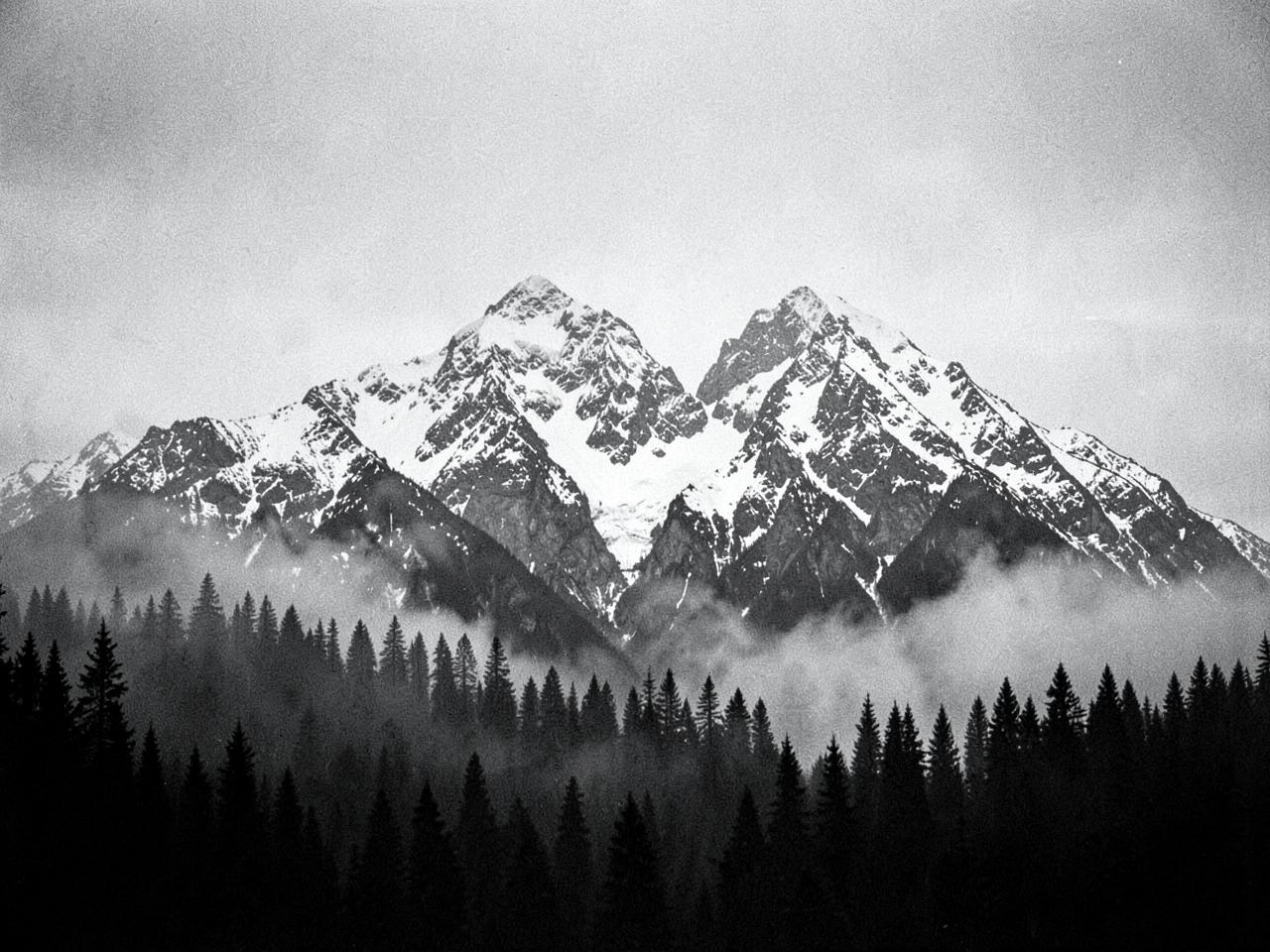 Mountain range above pine forest